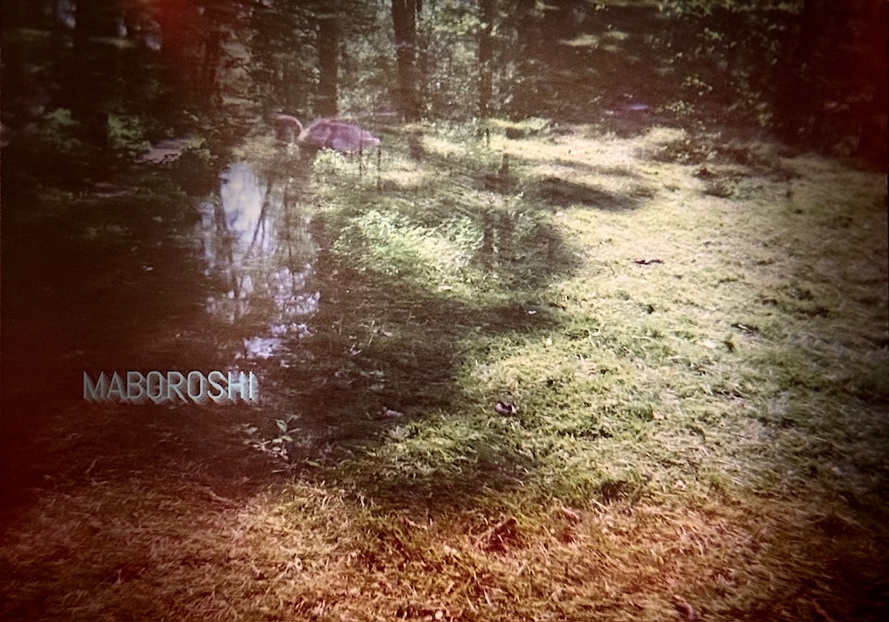 maboroshi